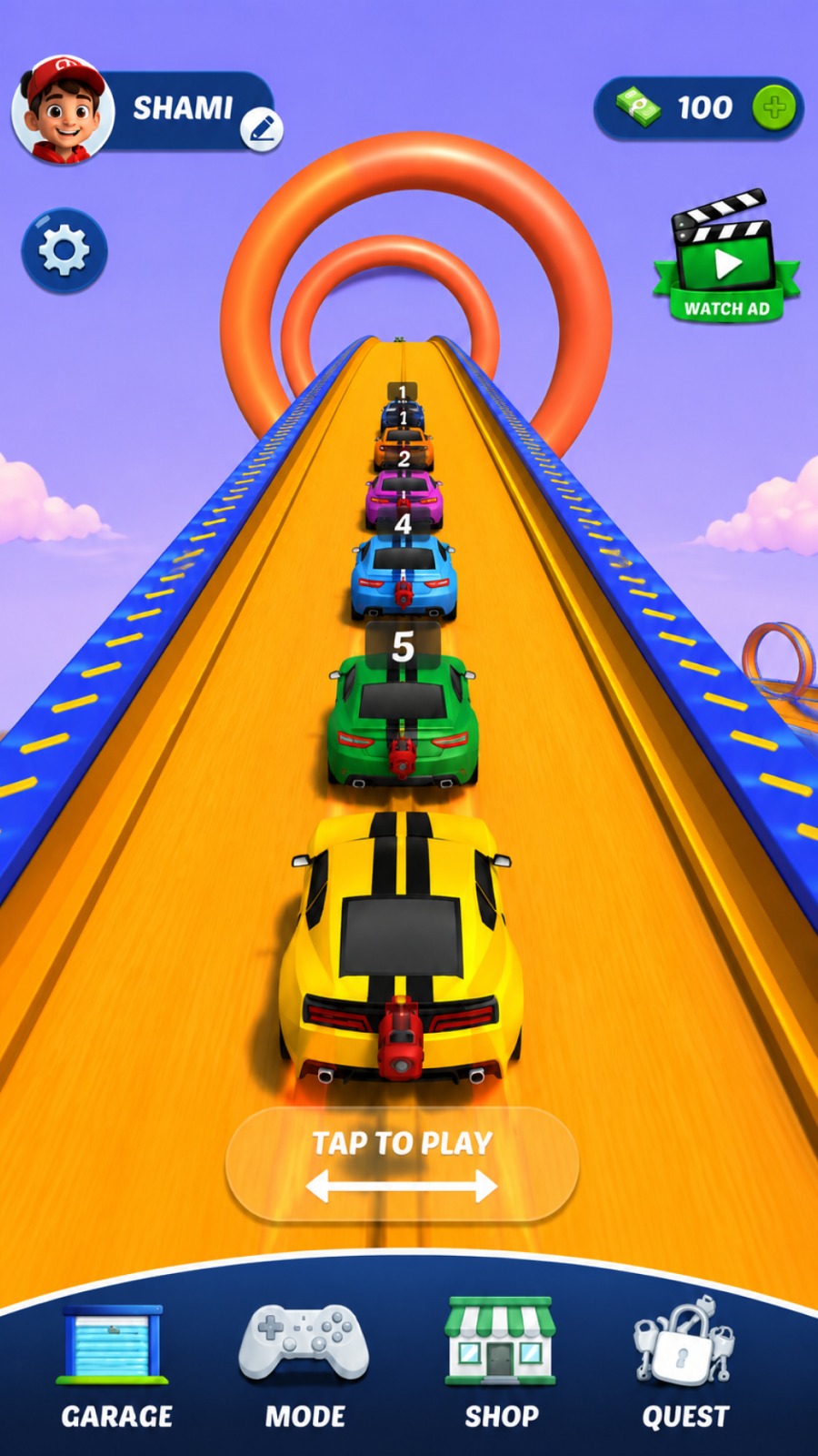 Multi-car race
